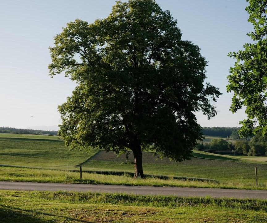 Photo of Others in Lannach
