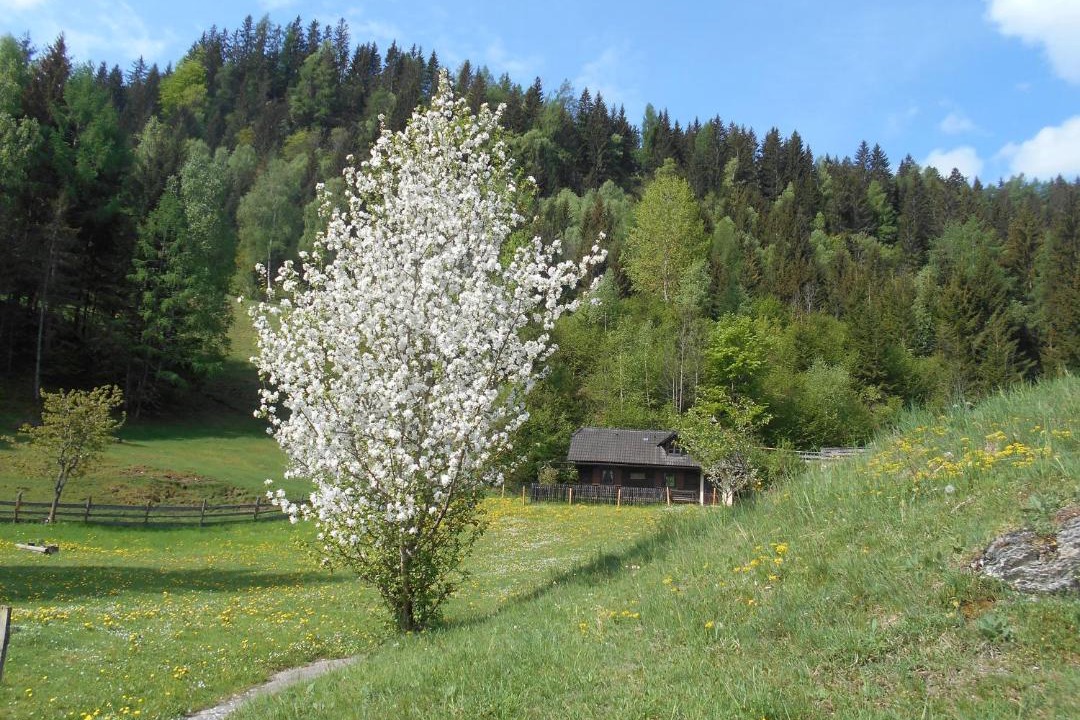 Photo of Others in Teufenbach-Katsch