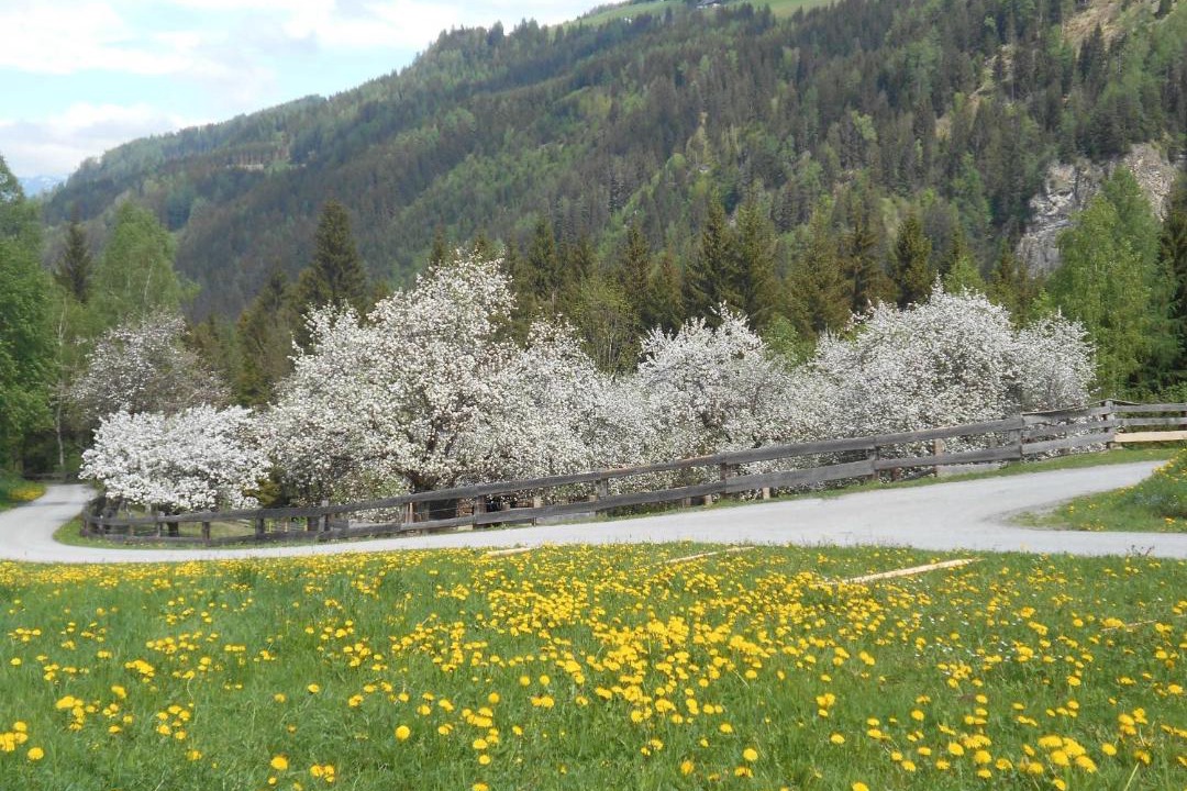 Photo of Others in Teufenbach-Katsch