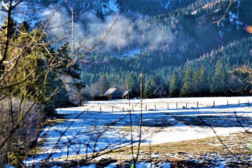 Photo of Others in Schwarzau im Gebirge