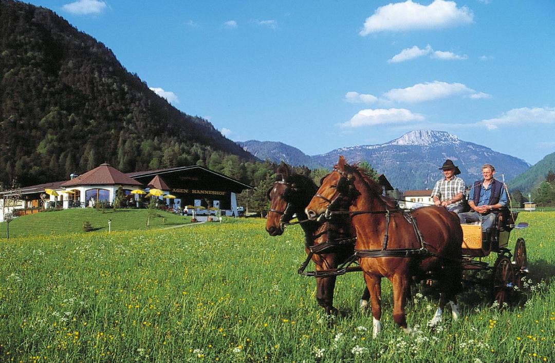 Photo of Others in Kirchdorf in Tirol