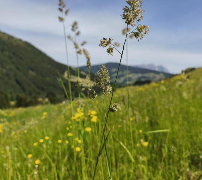 Photo of Others in Kirchberg in Tirol
