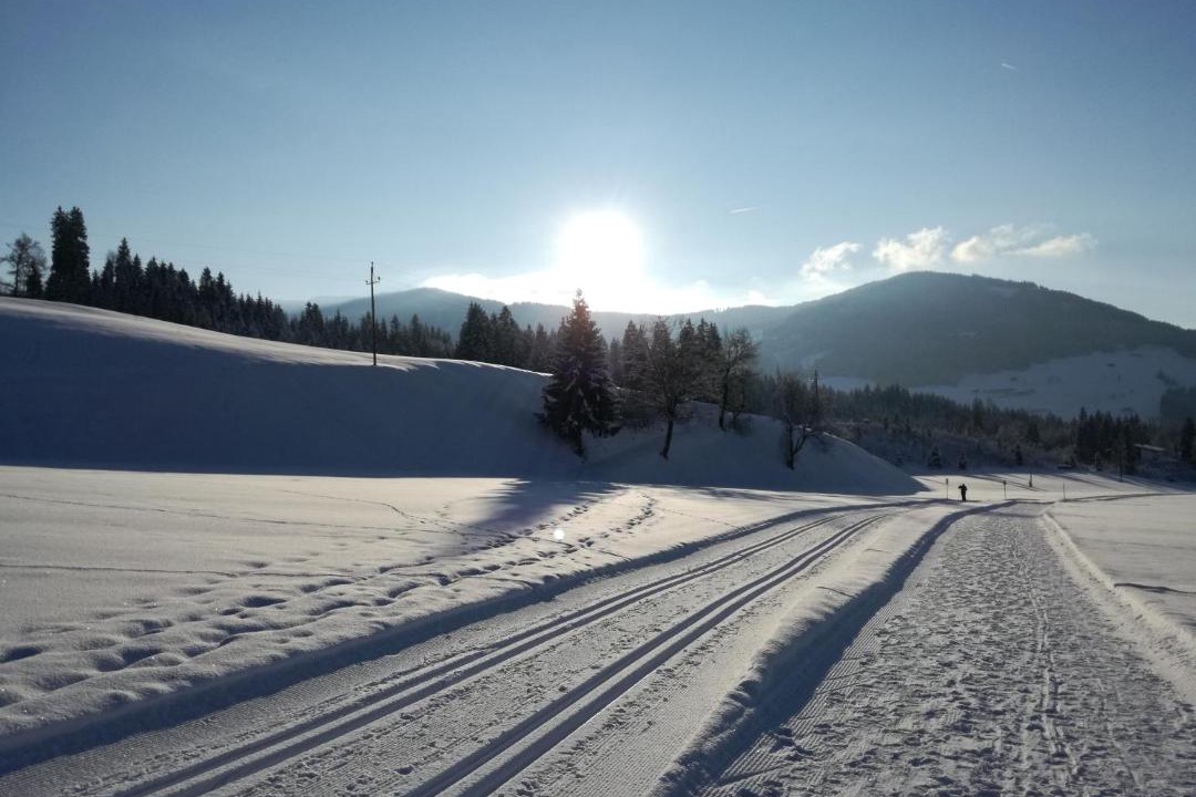 Photo of Others in Westendorf