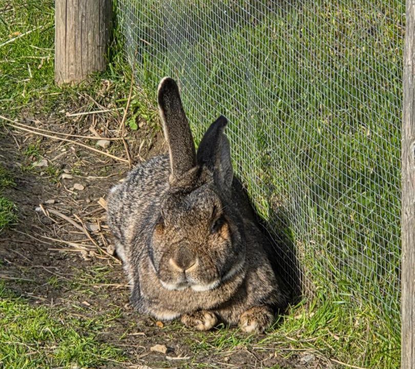 Photo of Others in Riezlern