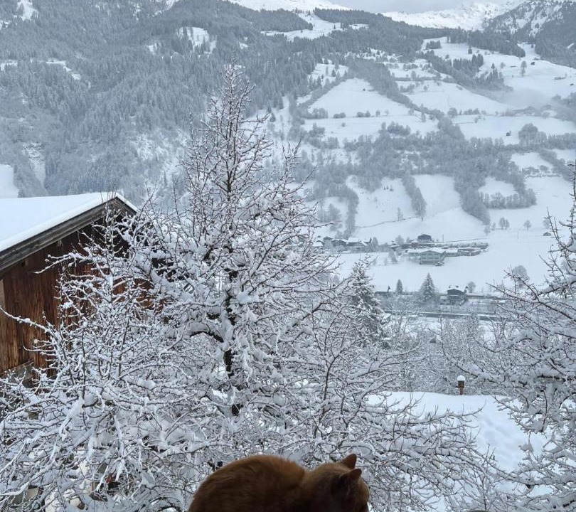 Photo of Others in Dorfgastein