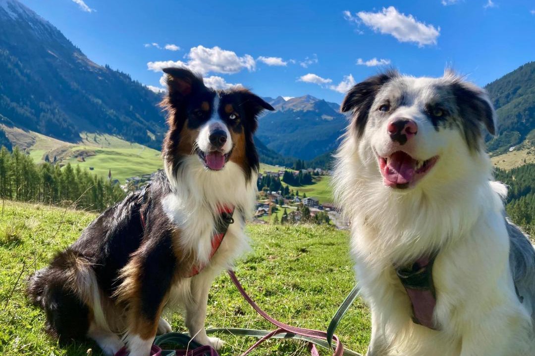 Photo of Others in Berwang