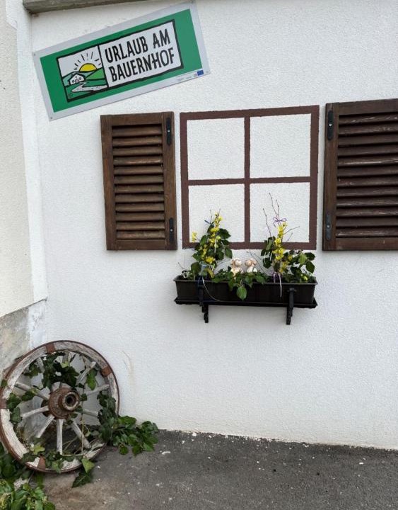 Photo of Others in Lunz am See