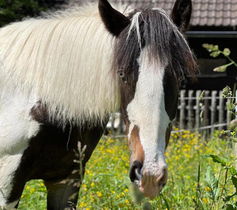 Photo of Others in Teufenbach-Katsch