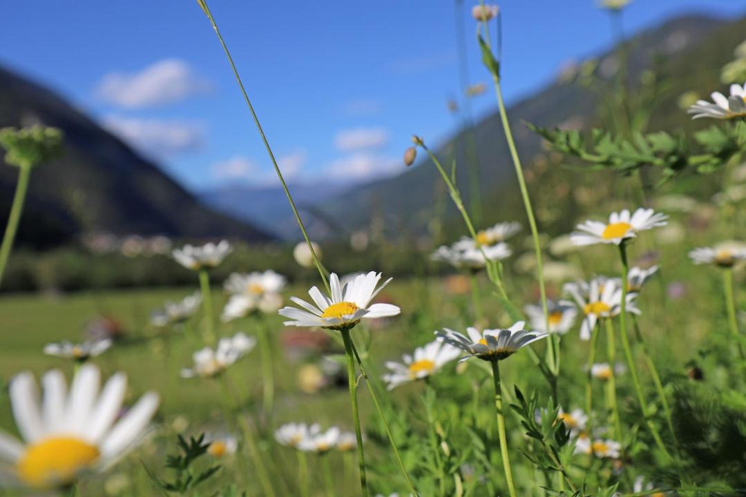 Photo of Others in Ried im Oberinntal