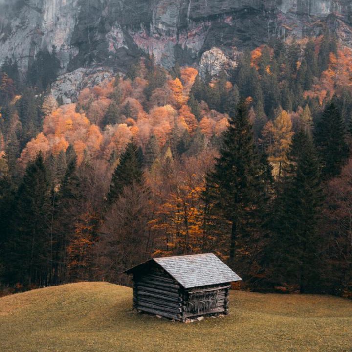 Photo of Others in Buerserberg