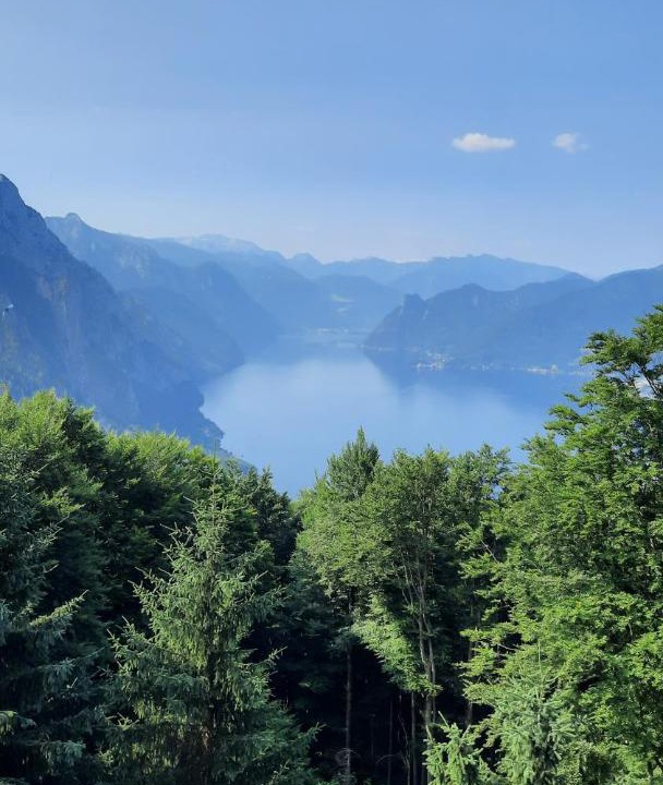 Photo of Others in Scharnstein