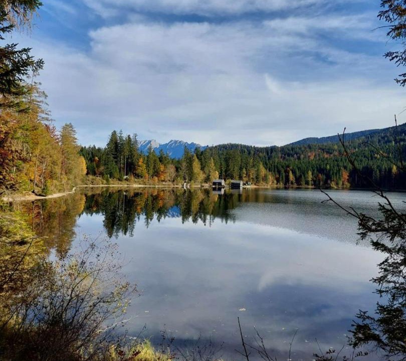 Photo of Others in Gallhof