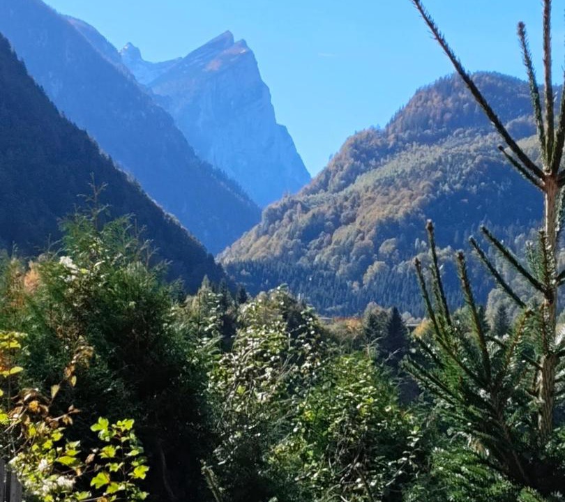 Photo of Others in Hieflau