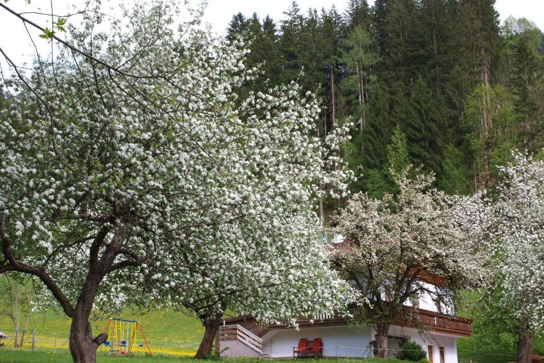 Photo of Others in Helfenstein