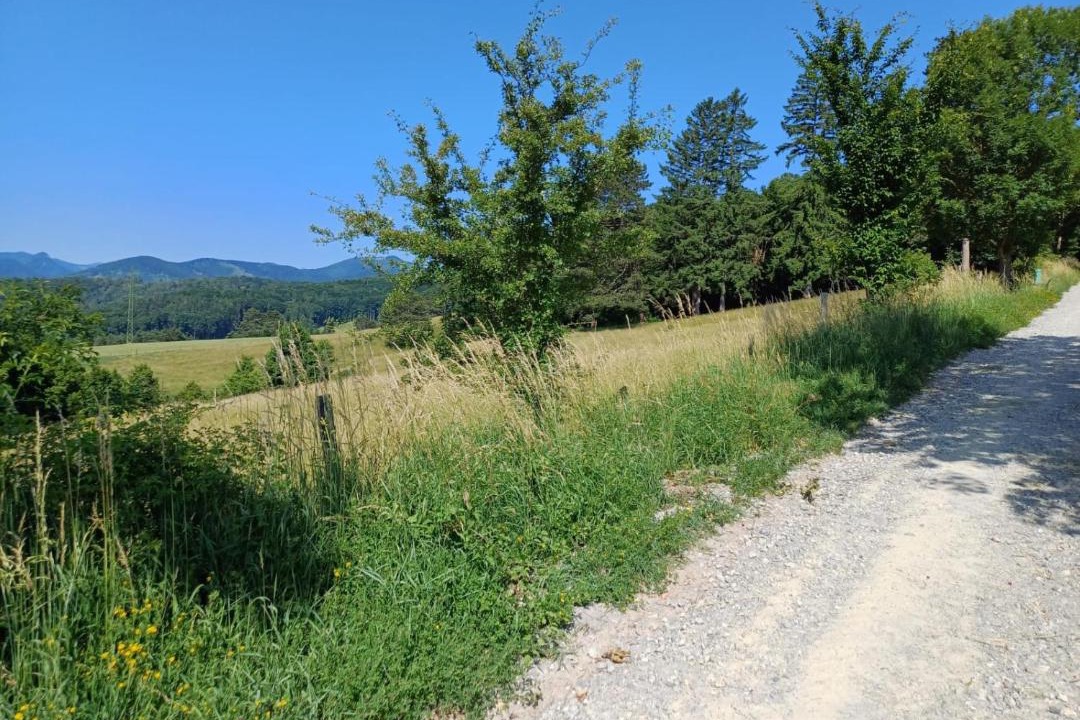 Photo of Others in Weissenbach an der Triesting