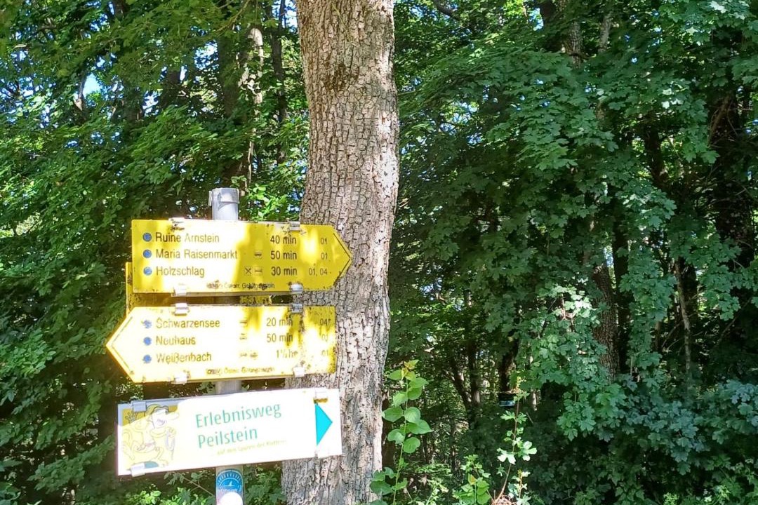 Photo of Others in Weissenbach an der Triesting