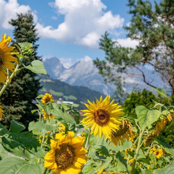 Photo of Others in Reith bei Kitzbuehel