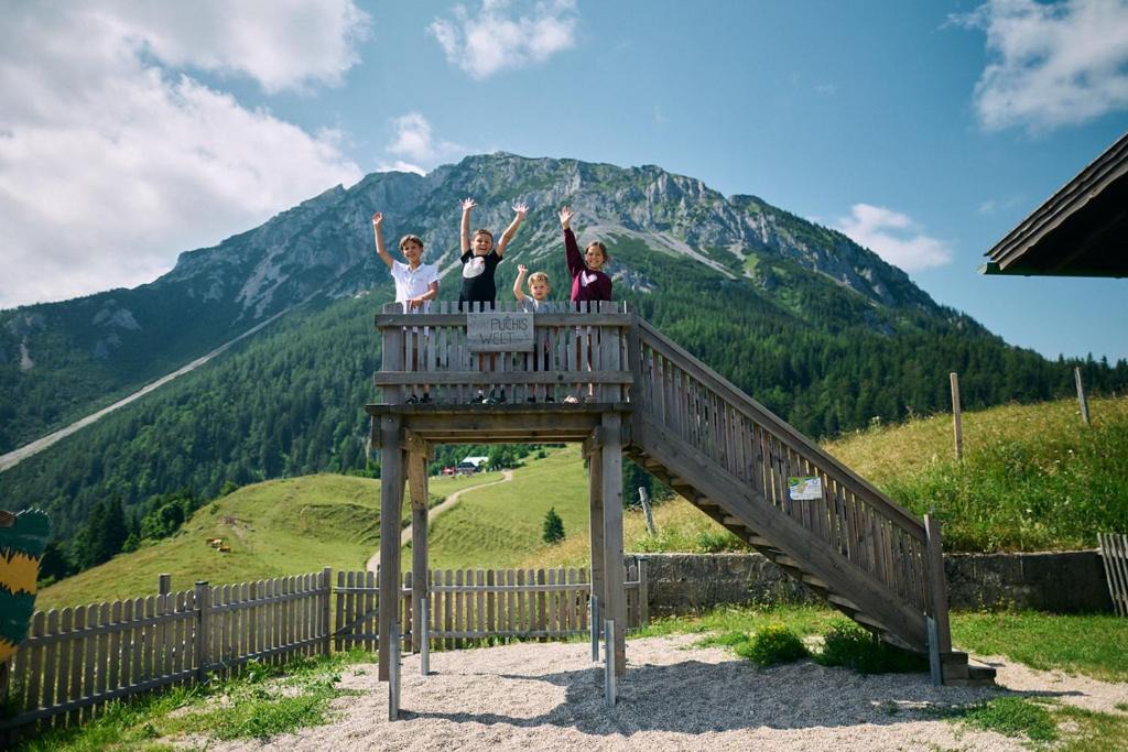 Photo of Others in Puchberg Am Schneeberg