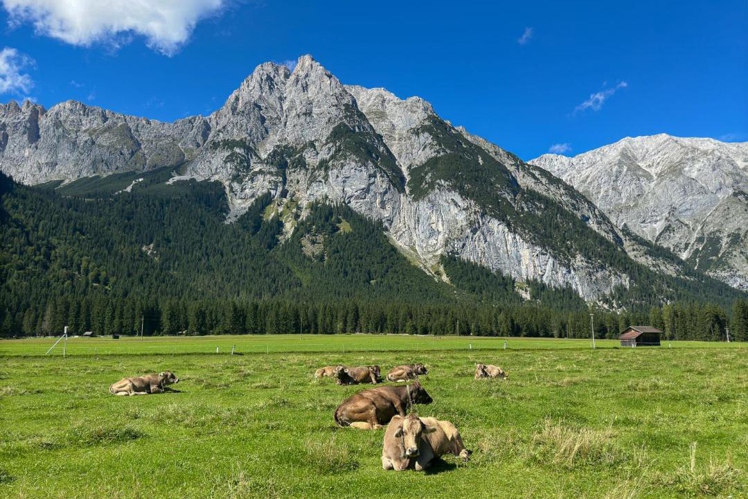 Photo of Others in Leutasch