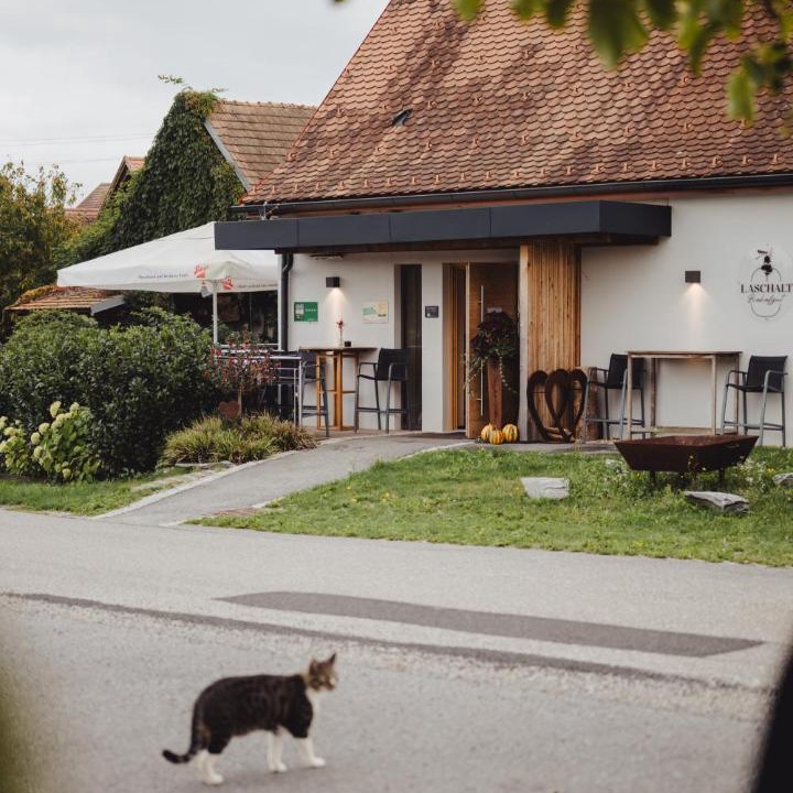 Photo of Others in Deutsch Kaltenbrunn