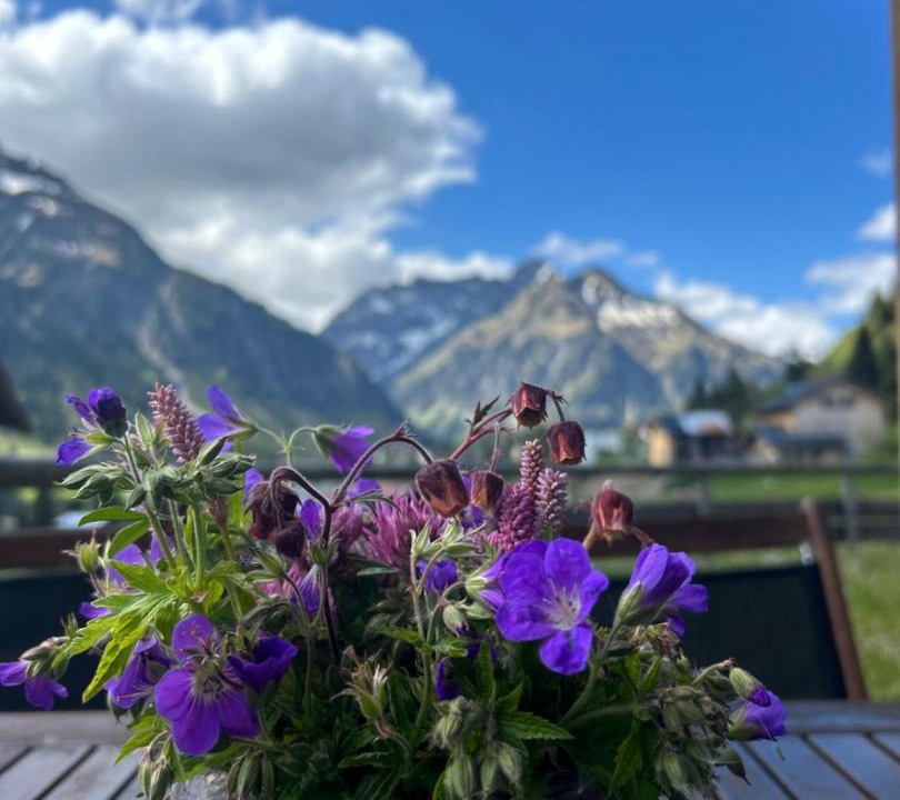 Photo of Others in Mittelberg