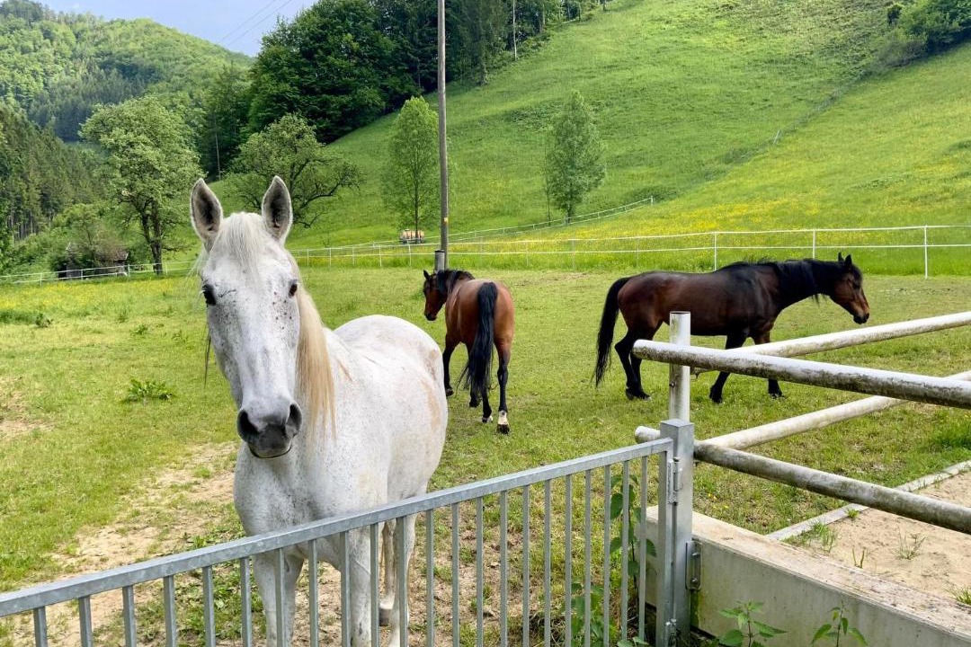 Photo of Others in Unterdambach