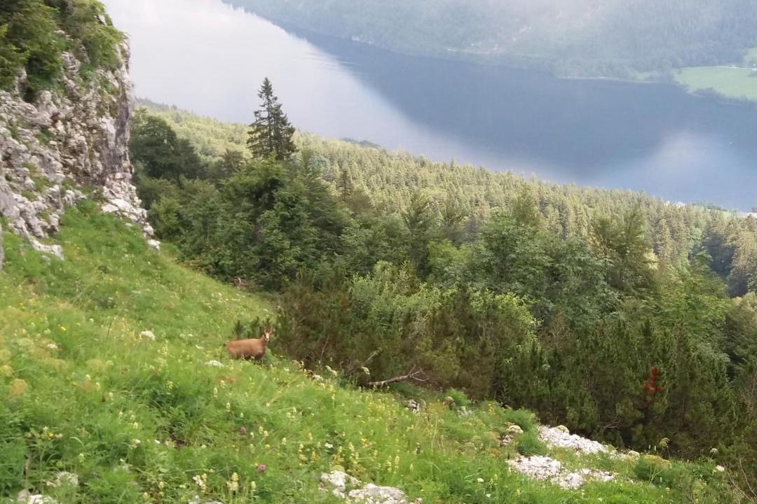 Photo of Others in Obertressen
