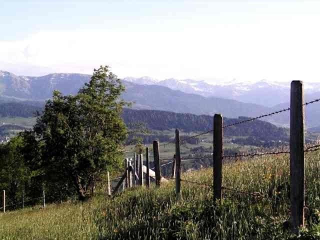 Photo of Others in Sulzberg