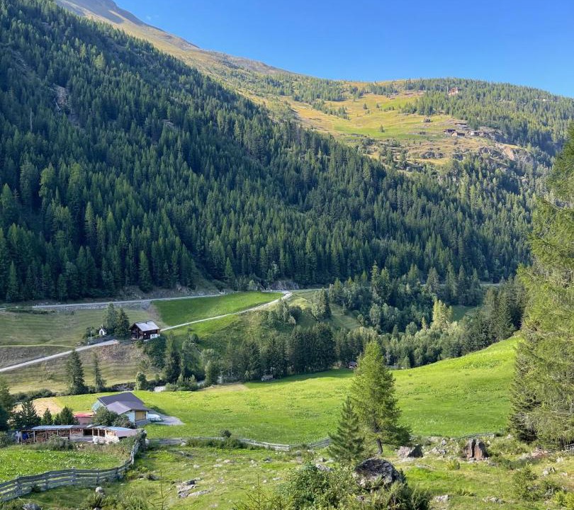 Photo of Others in Zwieselstein