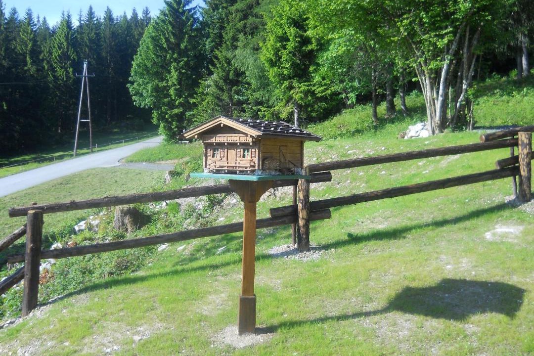 Photo of Others in Niederndorferberg