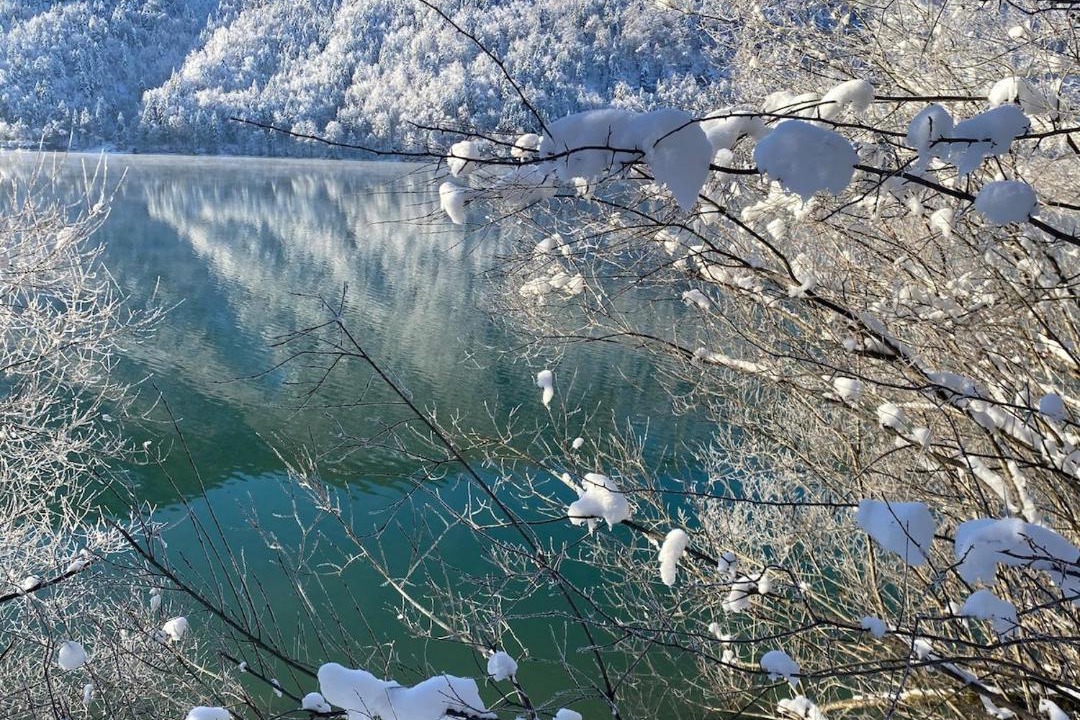 Photo of Others in Faistenau