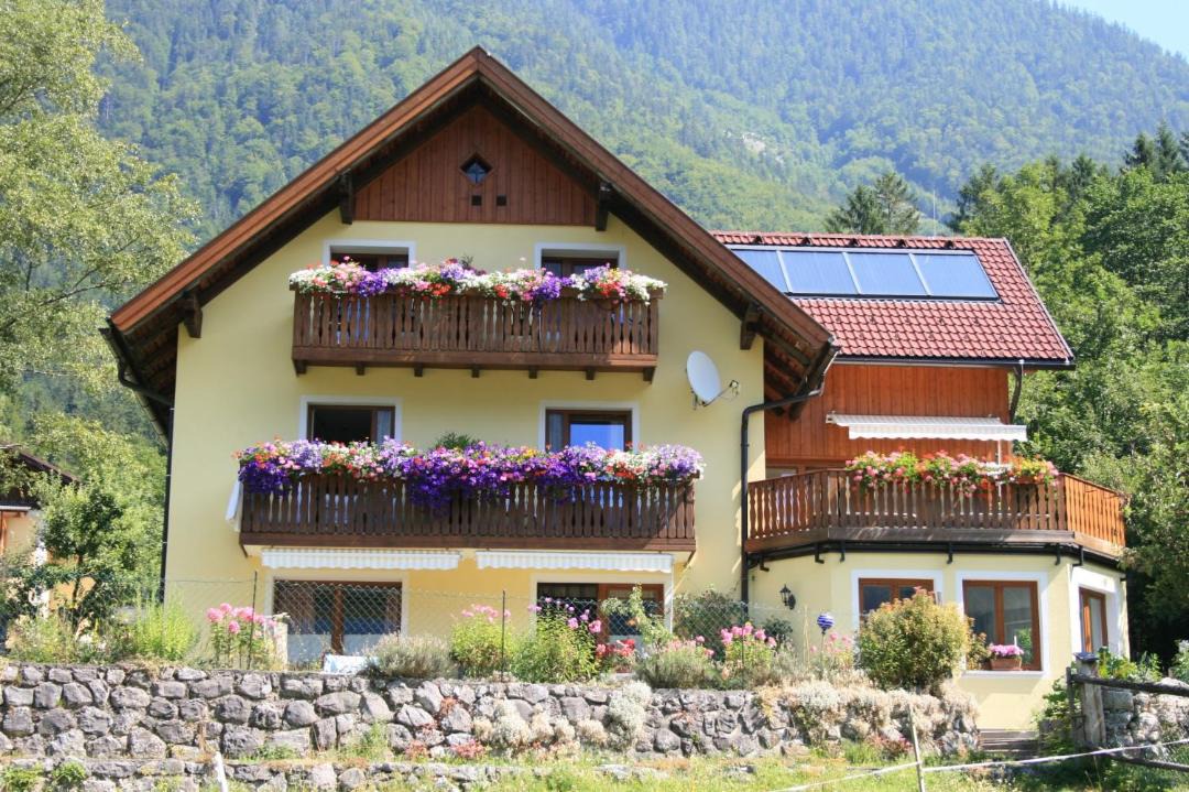 Photo of Others in Obertraun