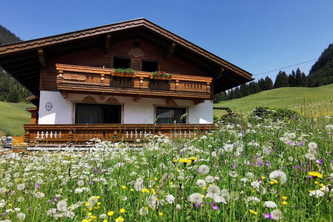 Photo of Others in Berwang