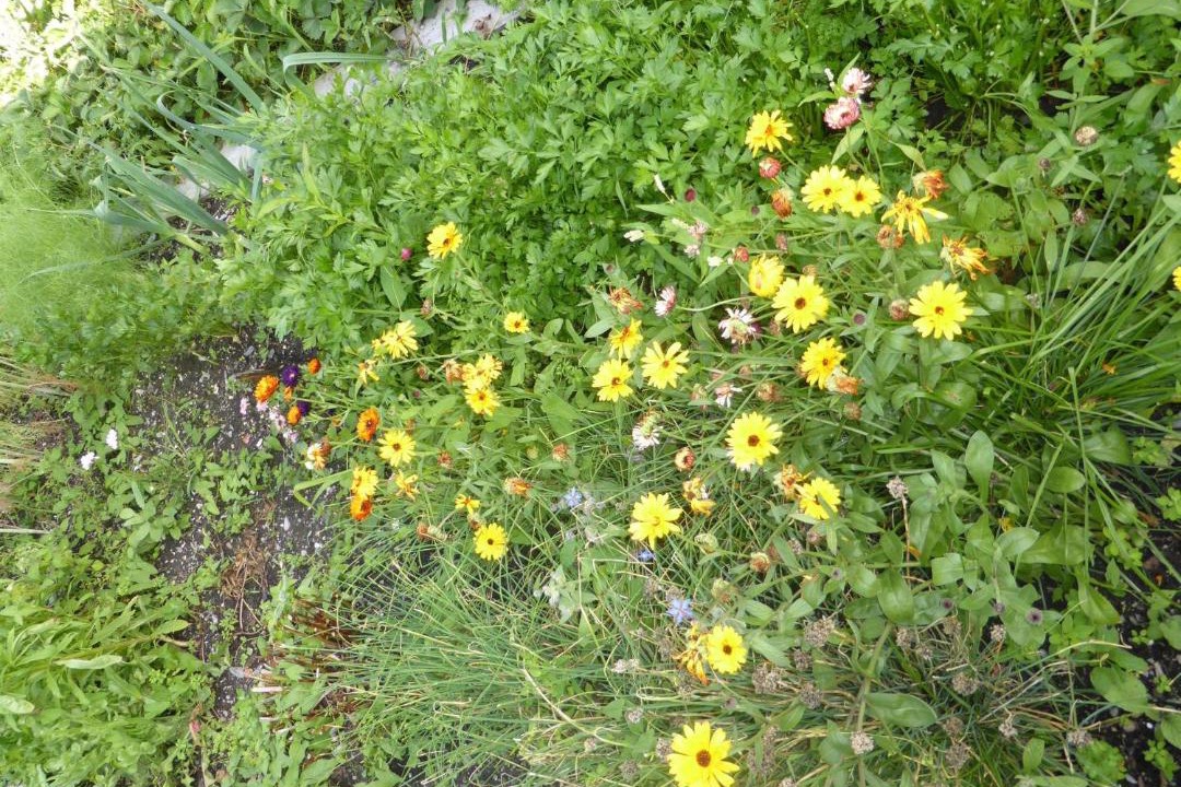 Photo of Others in Muhlthal