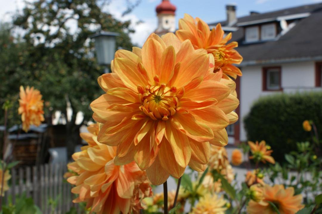 Photo of Others in Tulfes