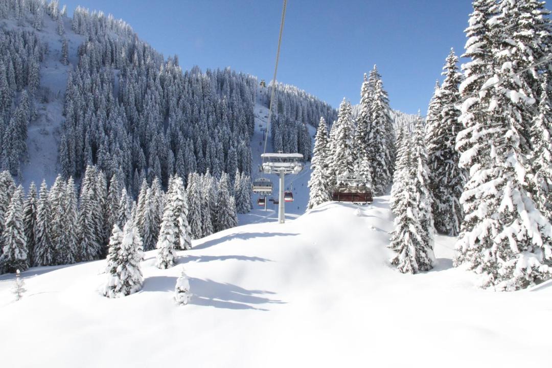 Photo of Others in Berwang