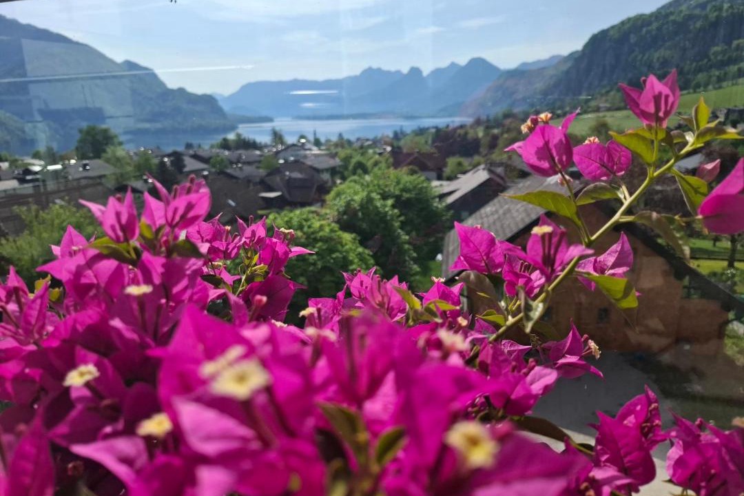 Photo of Others in St. Gilgen
