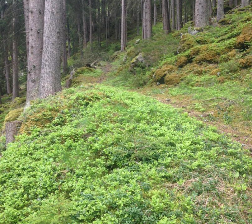 Photo of Others in Feichten