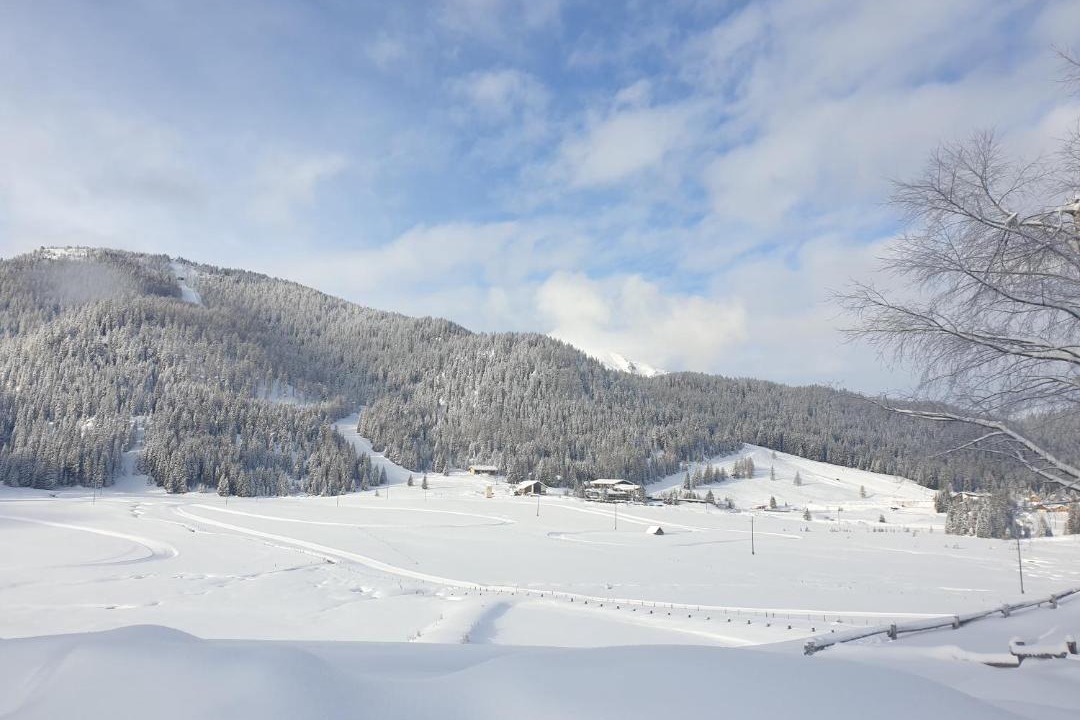 Photo of Others in Flattnitz