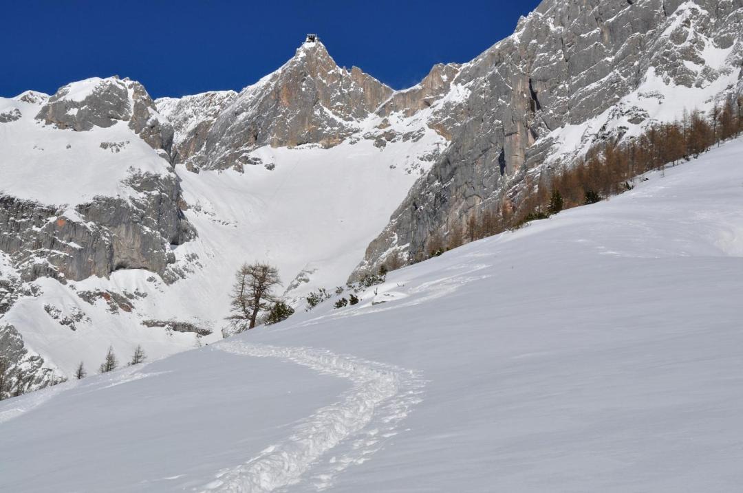 Photo of Others in Ramsau am Dachstein