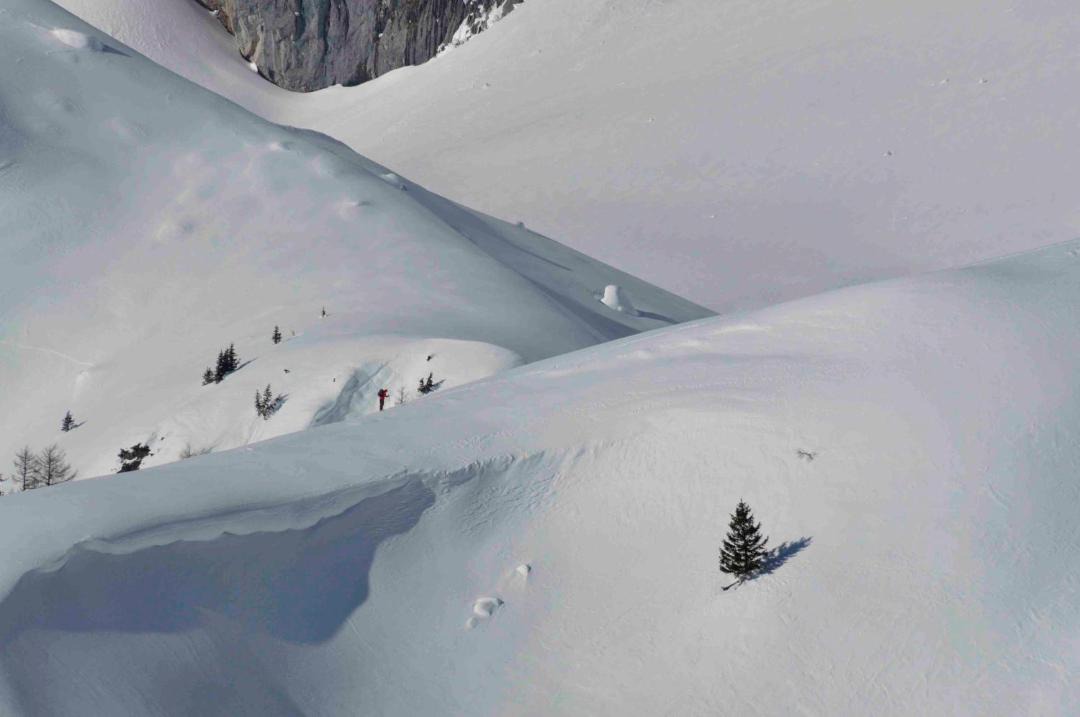 Photo of Others in Ramsau am Dachstein