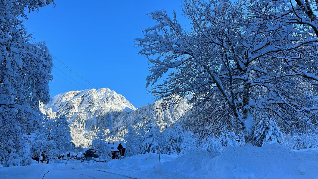 Photo of Others in Partenen