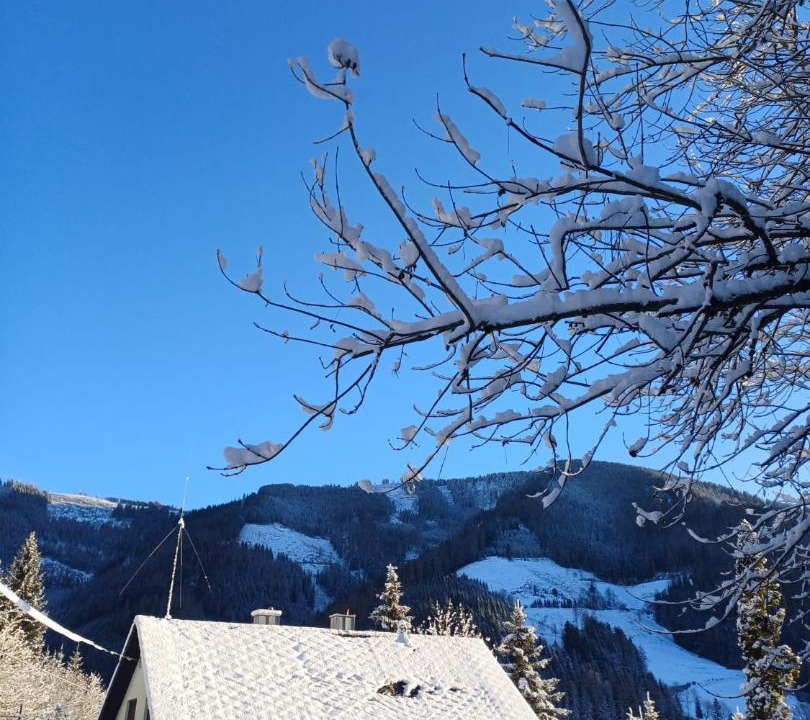 Photo of Others in Breitenau am Hochlantsch