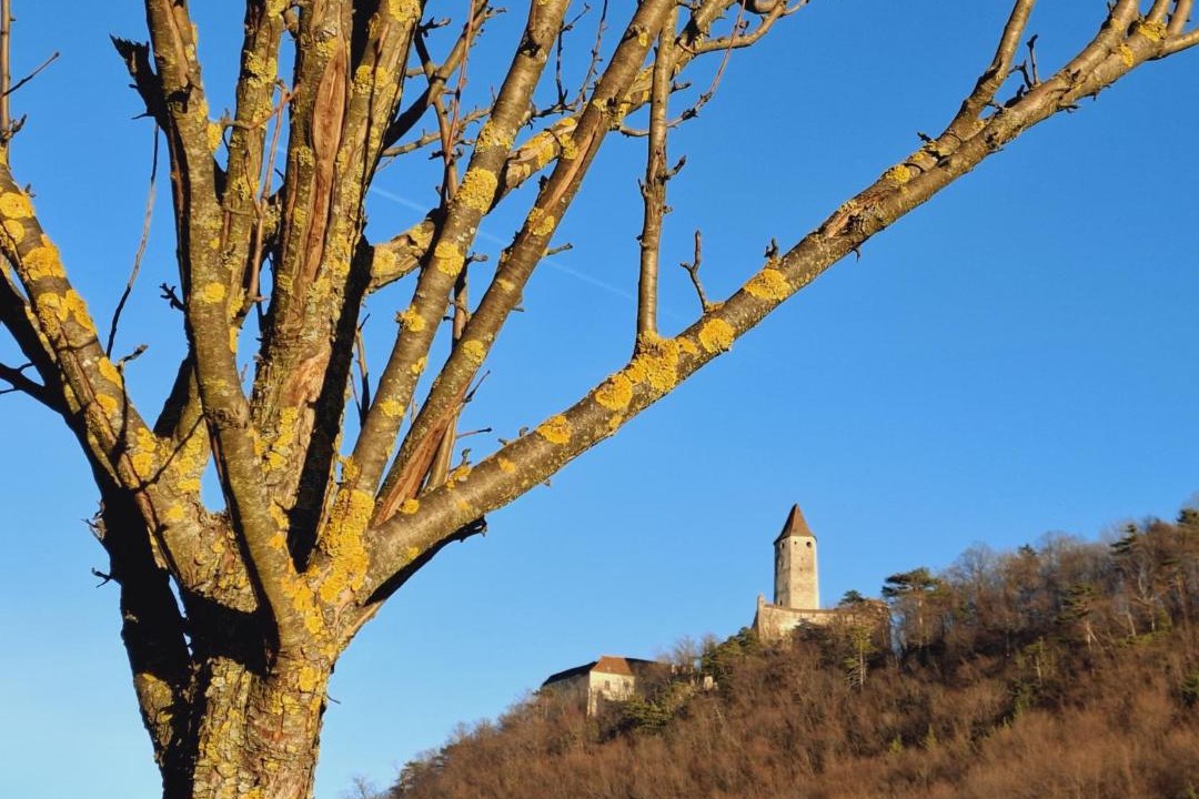 Photo of Others in Seebenstein