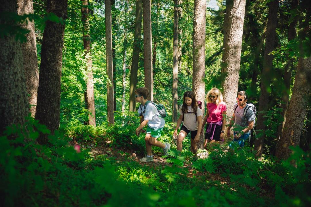 Photo of Others in Dornbirn