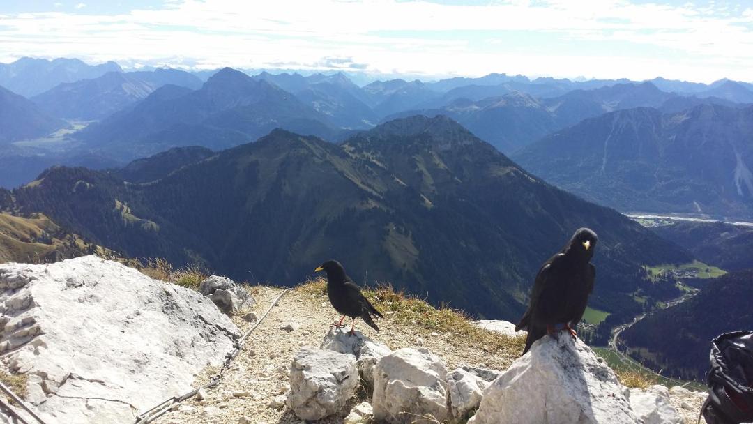 Photo of Others in Reutte
