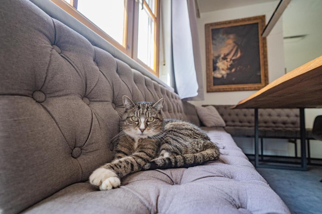 Photo of Livingroom in Thalheim bei Wels