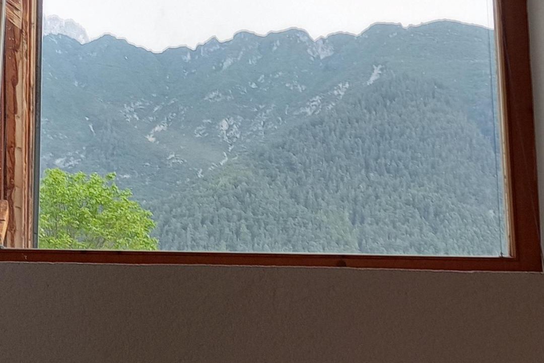 Photo of Others in Wildermieming
