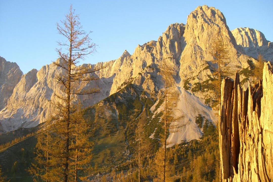 Photo of Others in Ramsau am Dachstein