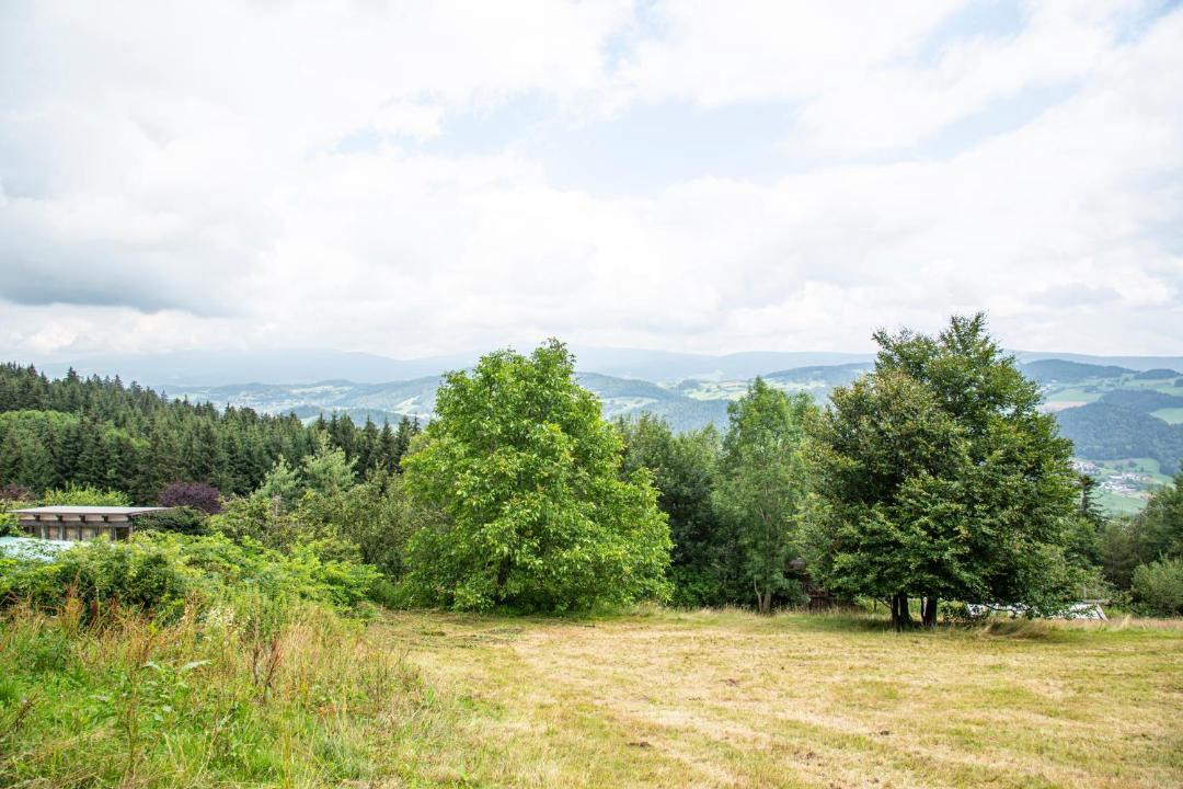 Photo of Others in Peilstein im Muhlviertel